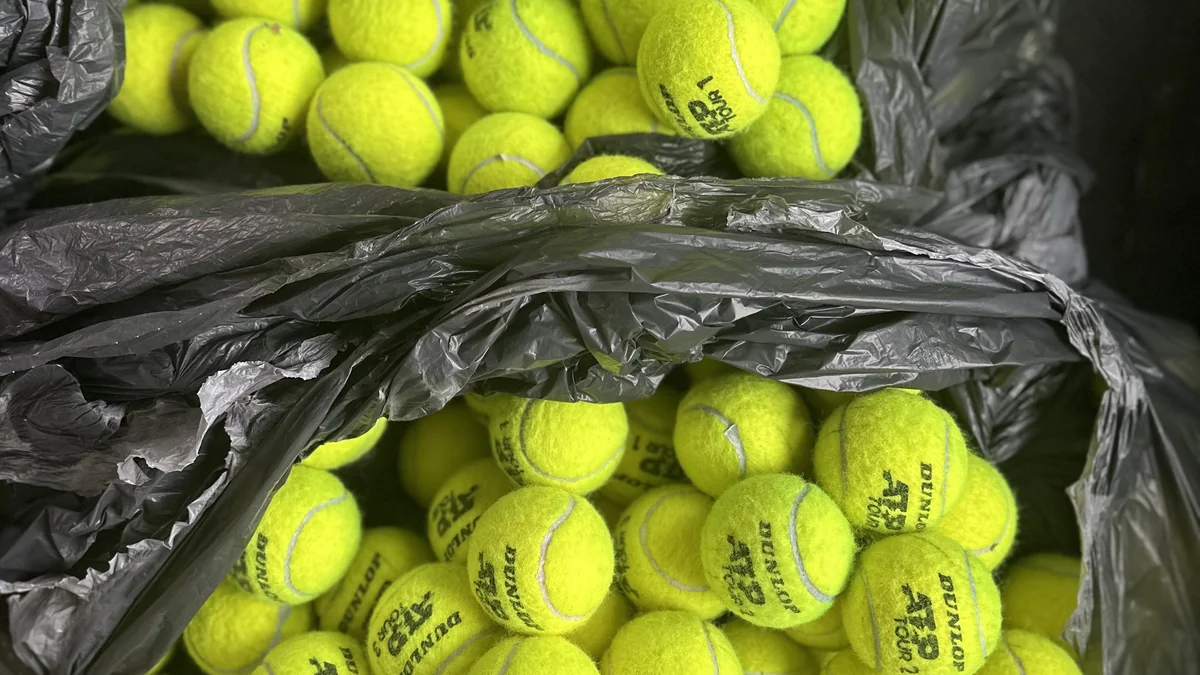 Tennis balls collected at a tournament, ready to be given a second life