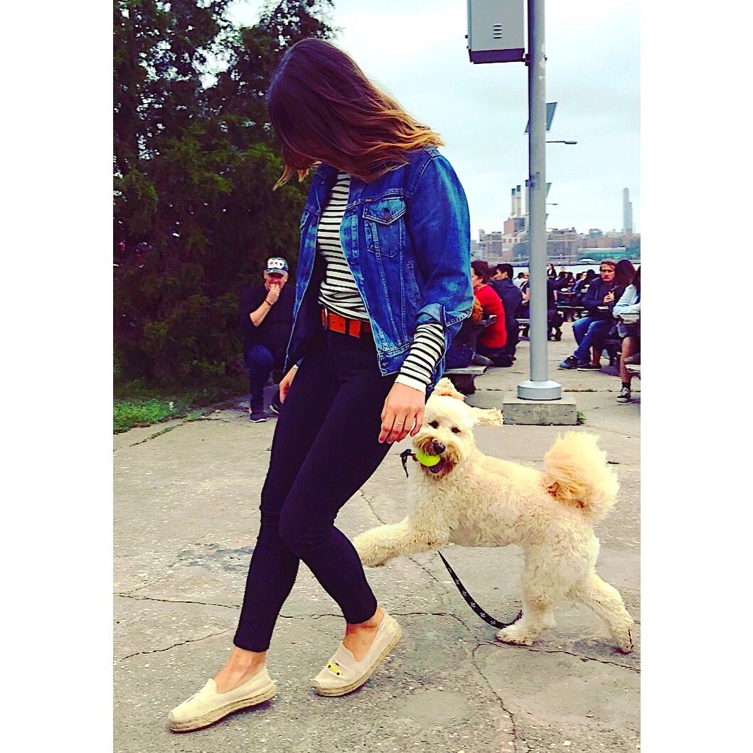 A dog leaping with a tennis ball in its mouth on a city walk