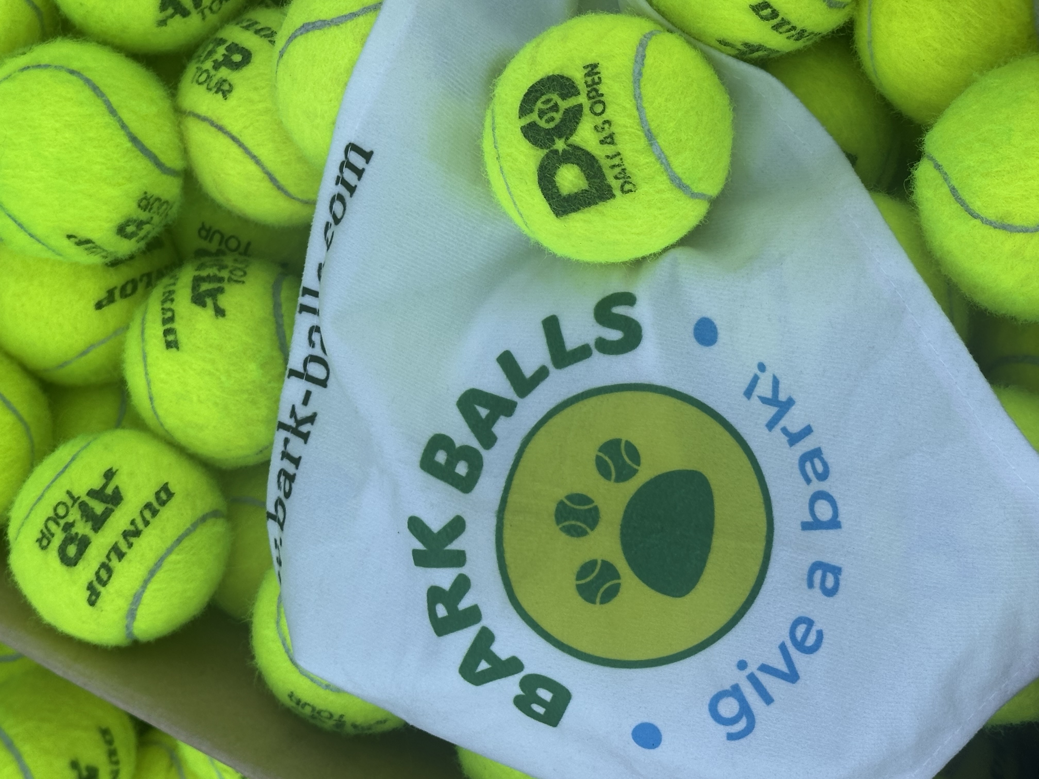 Dallas Open ATP Tour tennis balls collected by Bark Balls with Bark Balls bandana