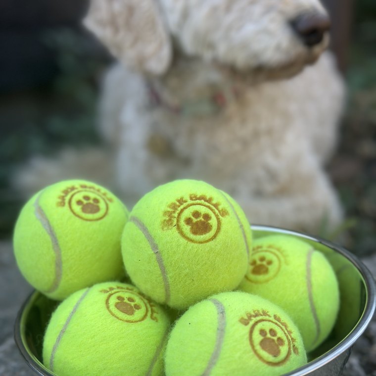 Bark Balls branded upcycled tennis balls in a bowl with a goldendoodle behind