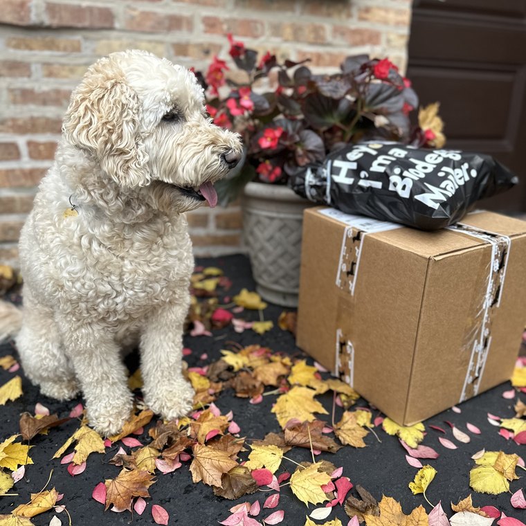 Goldendoodle beside a Bark Balls box and 100% biodegradable mailer on an autumn porch